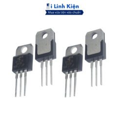 vn 11134207 7ra0g m7xic0un39tz3e