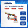 Dây bus 10P XH2.54 dây 26AWG 1 đầu cắm dài 30cm